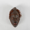 A Punu Mask