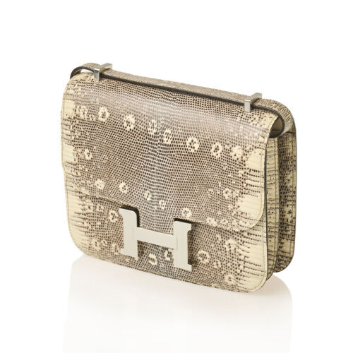 Herm&egrave;s Exotic Varanus Salvator Lizard Ombr&eacute; Mini Constance Bag