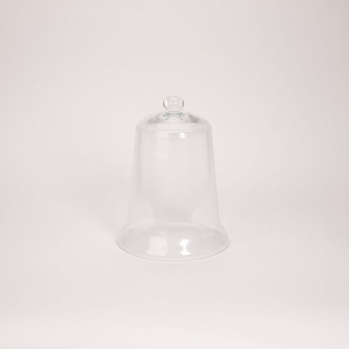 A Glass Bell Jar