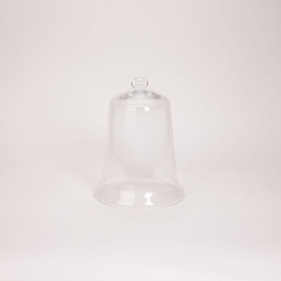 A Glass Bell Jar