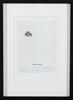 HELMUT KRONE Think Small Volkswagen Print