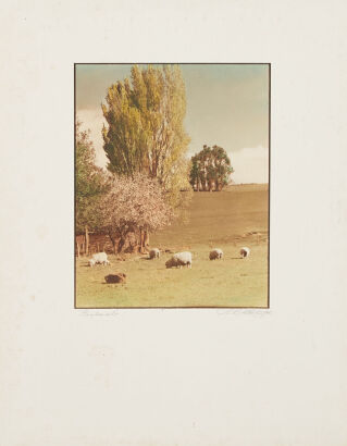 PHOTOGRAPHER UNKNOWN A Hand Coloured Landscape