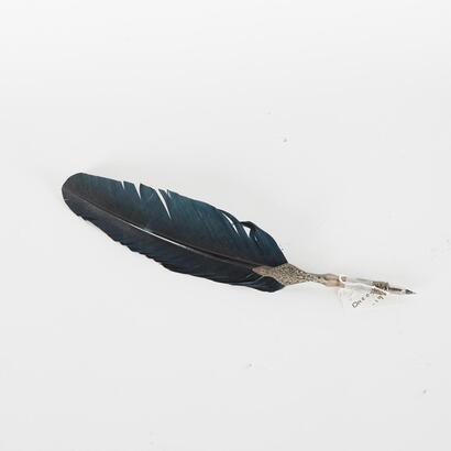 A Calligraphy Quill