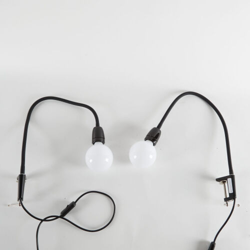 A Pair of Gooseneck Clamp Lights