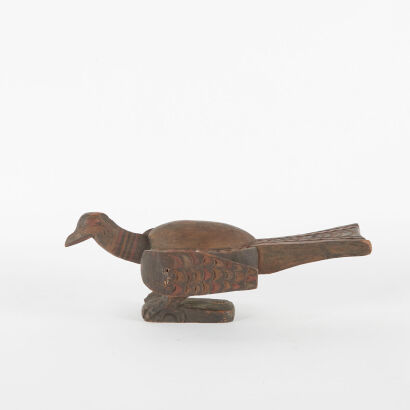 A Pitcairn Island Bird