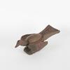 A Pitcairn Island Bird - 2