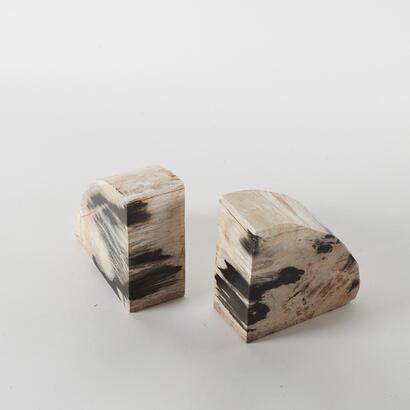 A Pair of Petrified Wood Bookends