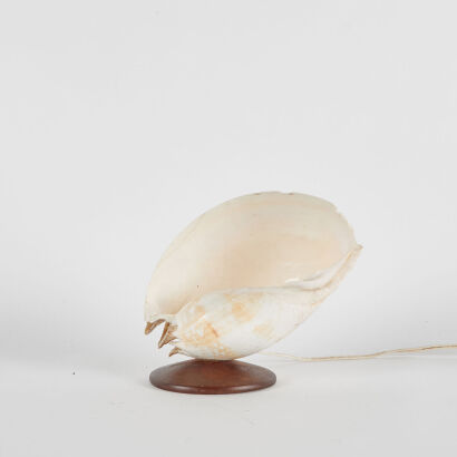 A Vintage Shell Lamp