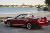 2004 Ford Mustang GT 40th Anniversary Edition - 12