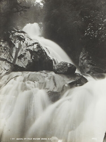 FRANK COXHEAD Roaring Crk Falls Milford Sound NZ