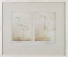 PHOTOGRAPHER UNKNOWN Skeleton of Aptornis Otidiformis Owen