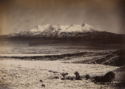 FRANK DENTON Mt Ruapehu 8878 Ft