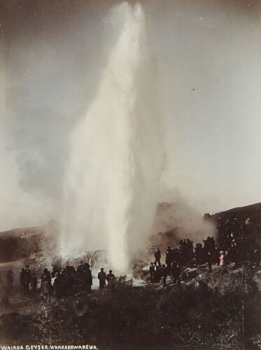 PHOTOGRAPHER UNKNOWN Wairoa Geyser Whakarewarewa