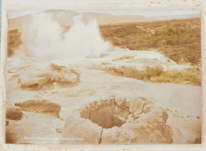 ARTHUR ILES Brain Pot Pohutu Geyser Rotorua