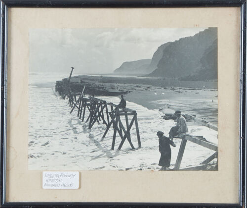 PHOTOGRAPHER UNKNOWN Logging Railway Whatapu Manakau Heads