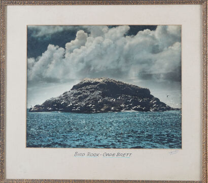 T.W COLLINS Bird Rock Cape Brett