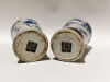 A Pair of 19th Century Blue and White Jar - 2