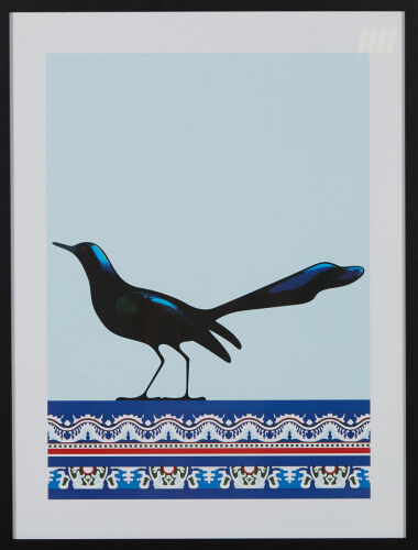 DON BINNEY Grackle Veracruz Print