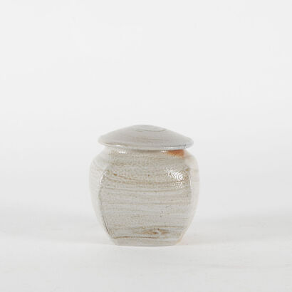 A Salt Glazed Peter Scott Lidded Jar