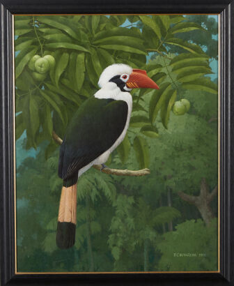 P. CASTA√ëEDA Tarik - The Hornbill