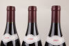 (6) 2009 Domaine Tortochot Gevrey Chambertin Champerrier Vieille Vignes, Cote de Nuits   - 2