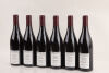 (6) 2009 Domaine Tortochot Gevrey Chambertin Champerrier Vieille Vignes, Cote de Nuits   - 4