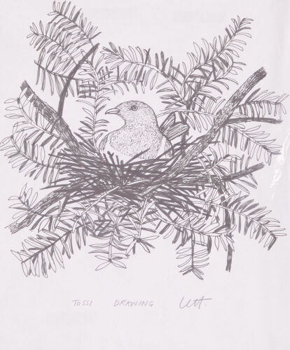 BARRY LETT Tossi Drawing