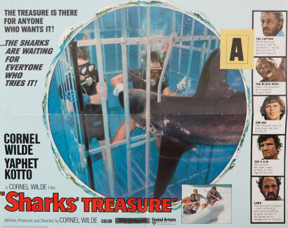 An Original Sharks Treasure Poster