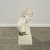 An Antique Italian Marble Bust of Antinous - 3