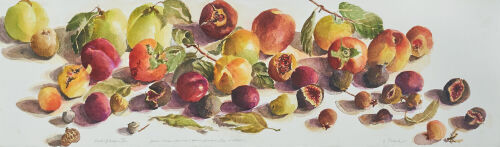 JAMIE EVRARD Book of days XX - Persimmons, quinces, plums, pomegranates and figs