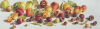 JAMIE EVRARD Book of days XX - Persimmons, quinces, plums, pomegranates and figs