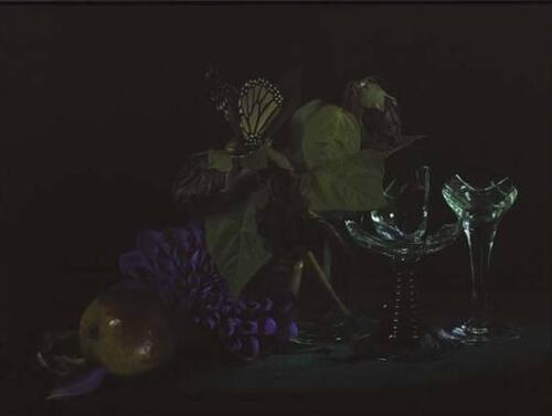 FIONA PARDINGTON Still Life with Dead Hibiscus, Pear and Monarch