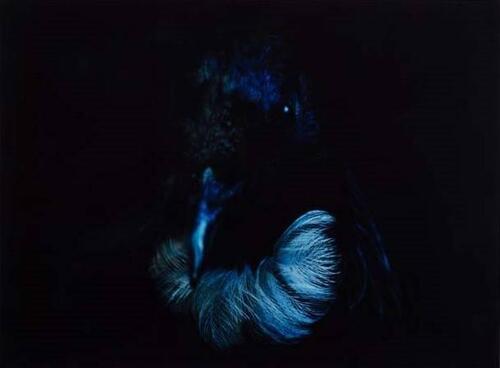 FIONA PARDINGTON Tui