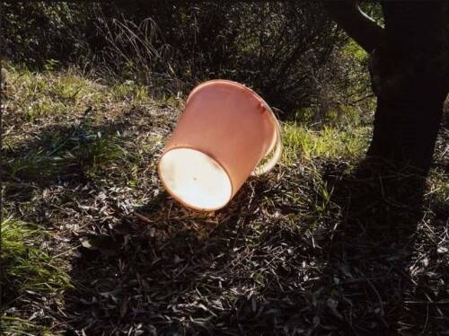 BILL CULBERT Bucket, Croagnes