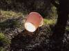BILL CULBERT Bucket, Croagnes