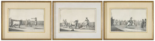 A Set of Three Late 18th Century Bull Fighting Engravings