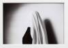 ANNE NOBLE White Veil of a Novice - 3