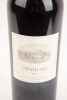 (1) 1995 Tenuta dell 'Ornellaia 1500ml, Bolgheri - 4