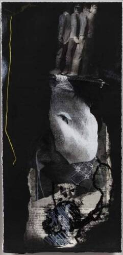 EDWARDS + JOHANN Rabbit