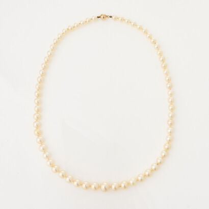 Graduated, 50cm Cultured Pearl Strand with a 9ct Yellow Gold Clasp