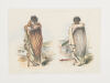 GEORGE FRENCH ANGAS Plate 51 Muriwhenua And Kahawai From The New Zealanders illustrated 1847
