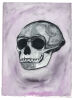 RICKY SWALLOW Purple Skull 1