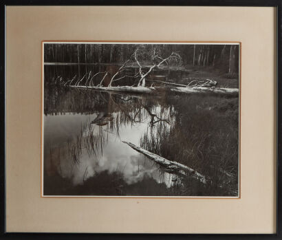 ANSEL ADAMS Siesta Lake Lithograph