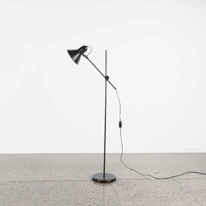 A Black Floor Standing Lamp