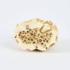 A 19th Century Marine Ivory Netsuke Of A Sennin - 4