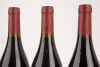 (6) 2009 Two Gates Syrah, Hawkes Bay - 2