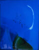 KATE VAN DER DRIFT New Moon to New Moon, February 2020 II
