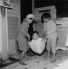 ANS WESTRA Ruatōria 1963