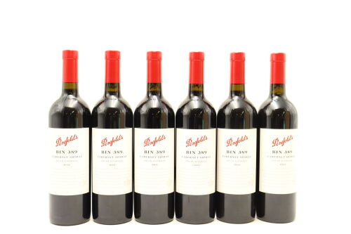 (6) 2004 Penfolds Bin 389 Cabernet - Shiraz, South Australia [JR16.5] [BC95] [JO95]