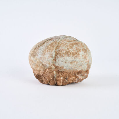 A Rare Cretaceous Period Fossilised Dinosaur Egg, Mongolian Desert